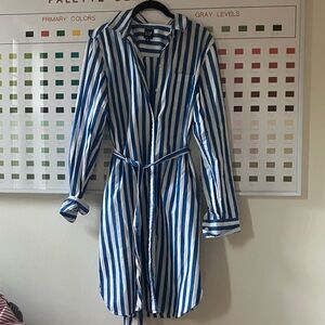 Gap Blue Striped Shirtdress Sz M Tall